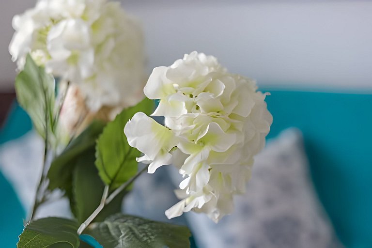 Morros City-Espectacular Apto Vista al Mar Piso 8